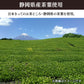【カートアップNG】LDC ほうじ茶 2000ml*6本入
