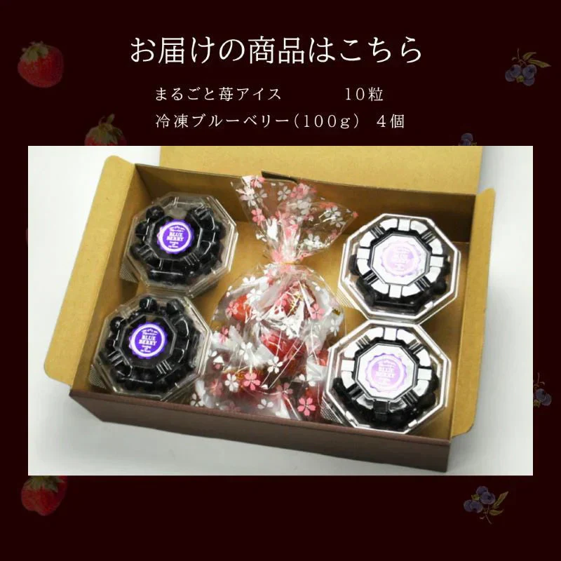 2種ベリーアイスセット まるごと苺アイス10粒＆冷凍ブルーベリー（100g）4カップ詰合せ　化粧箱 ギフト 冷凍 国産 いちご イチゴ ストロベリー  ベリー 冷凍果実 フルーツ アイス あいす
