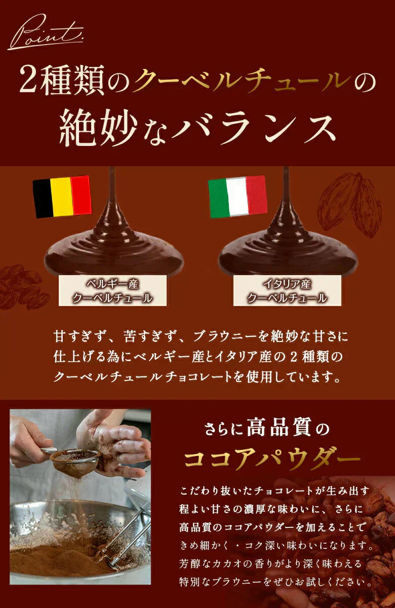 .濃厚ショコラブラウニー5個.【DS08】