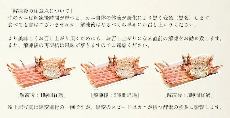 ズワイガニ お刺身 OK 生 カット済み 1.2kg（総重量1.5kg） かに カニ 蟹 海鮮 ズワイ蟹 魚介 ポーション むき身 カニ身 鍋 かにしゃぶ かにポーション カニ鍋 お取り寄せグルメ 蟹ポーション グルメ 母の日 プレゼント ギフト