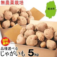 岩手県産 じゃがいも 5kg 無農薬栽培 男爵