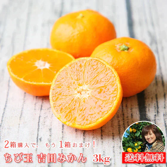 【fちび吉 03】　ちび玉 吉田みかん 3kg 　※2箱ご購入頂くともう1箱おまけがついて合計3箱でお届け致します！（多少の枝傷・葉傷・黒点有り）（家庭用・3S～2Sサイズ込み）【送料無料】みかん ミカン 吉田みかん