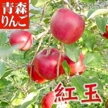 紅玉 こうぎょく ●家庭用 5C箱(5kg箱:約18～25個入)