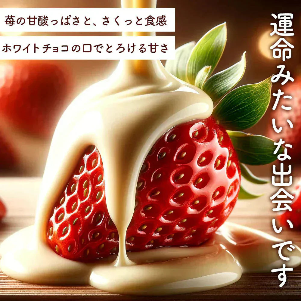 【チョコ常温販売期間終了】 チョコレート まるごと苺チョコレート 3袋セット (1袋あたり15粒入×3) スイーツ チョコ ストロベリー 苺 まるごと ホワイトチョコ いちご スイーツ 贈り物 お返し