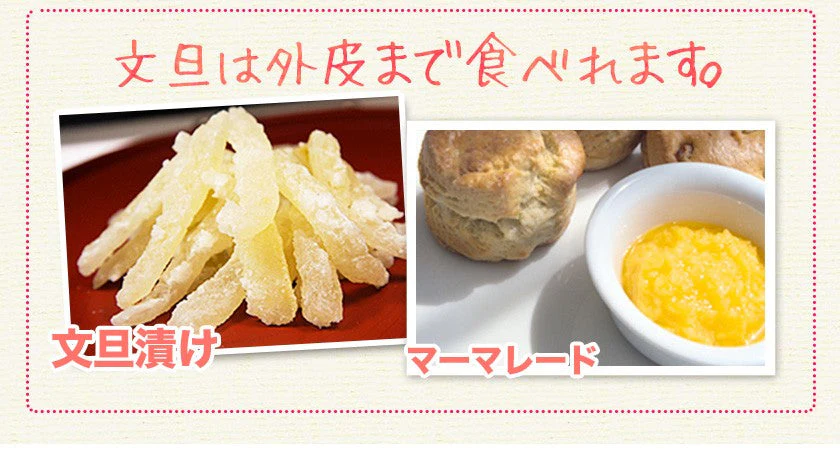 【熊本コレクション】天草文旦 パール柑 ギフト 約3kg前後 送料無料 4L-3L / 5-6玉入 贈答用 御年賀 寒中見舞い 果物 フルーツ 12月上旬-12月末頃より発送予定
