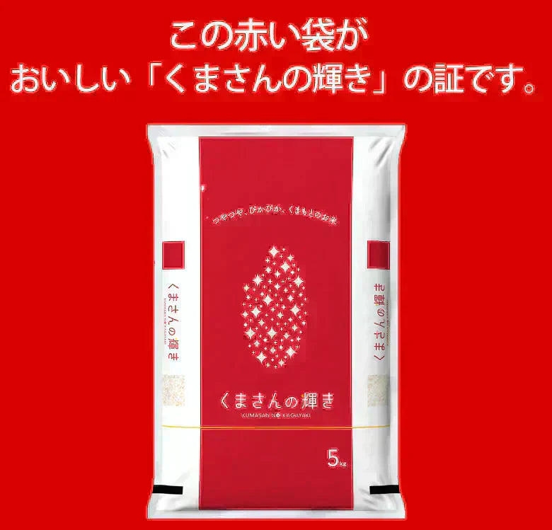 くまさんの輝き 無洗米 送料無料 計900g（300g×3袋） お試し 令和6年産 熊本県産 お米 白米 玄米 コシヒカリ ヒノヒカリ 森のくまさん