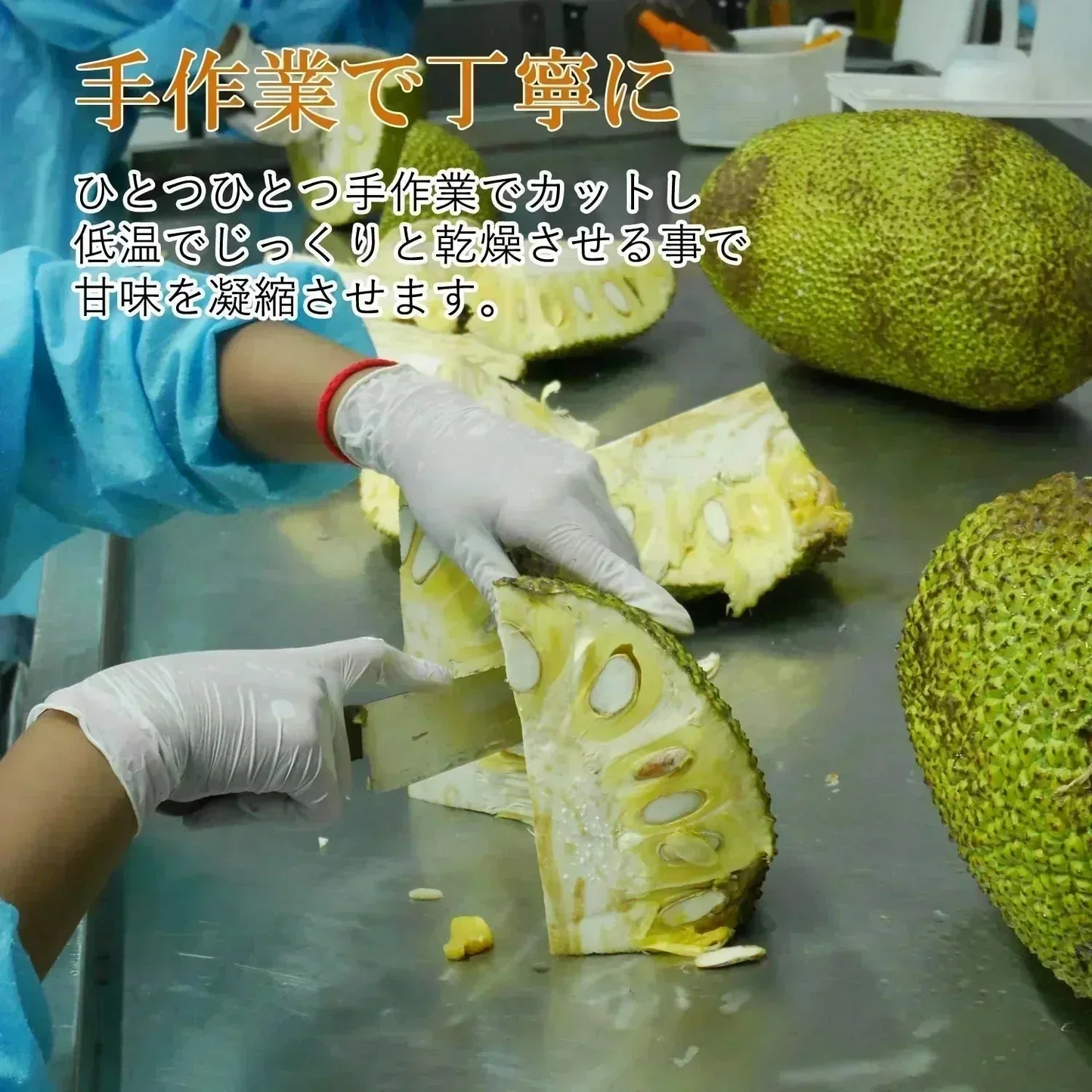 【30g】大地の生菓 無添加 ドライフルーツ ジャックフルーツ 送料無料 砂糖 保存料 不使用 お試し 製菓材料【KF】