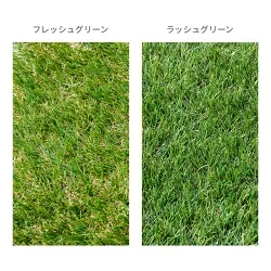フレッシュグリーン 人工芝 ロール 1m×10m 芝丈35mm 送料無料 人工芝 芝生マット 人工芝生 人工芝マット 人工芝ロール 芝生 ロールタイプ 固定ピン 庭　　　　　 ベランダ テラス バルコニー ガーデニング ガーデン