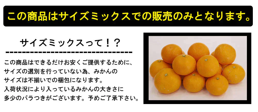 みかん 5kg 送料無料 愛媛みかん 温州みかん ミカン 蜜柑 安い 甘い 箱買い 産地直送 愛媛県産 YDF-000