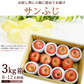 【12月上旬-下旬頃ご注文受付順次】サンふじりんご　約3kg箱　8-12玉前後 樹上完熟りんごを産地直送