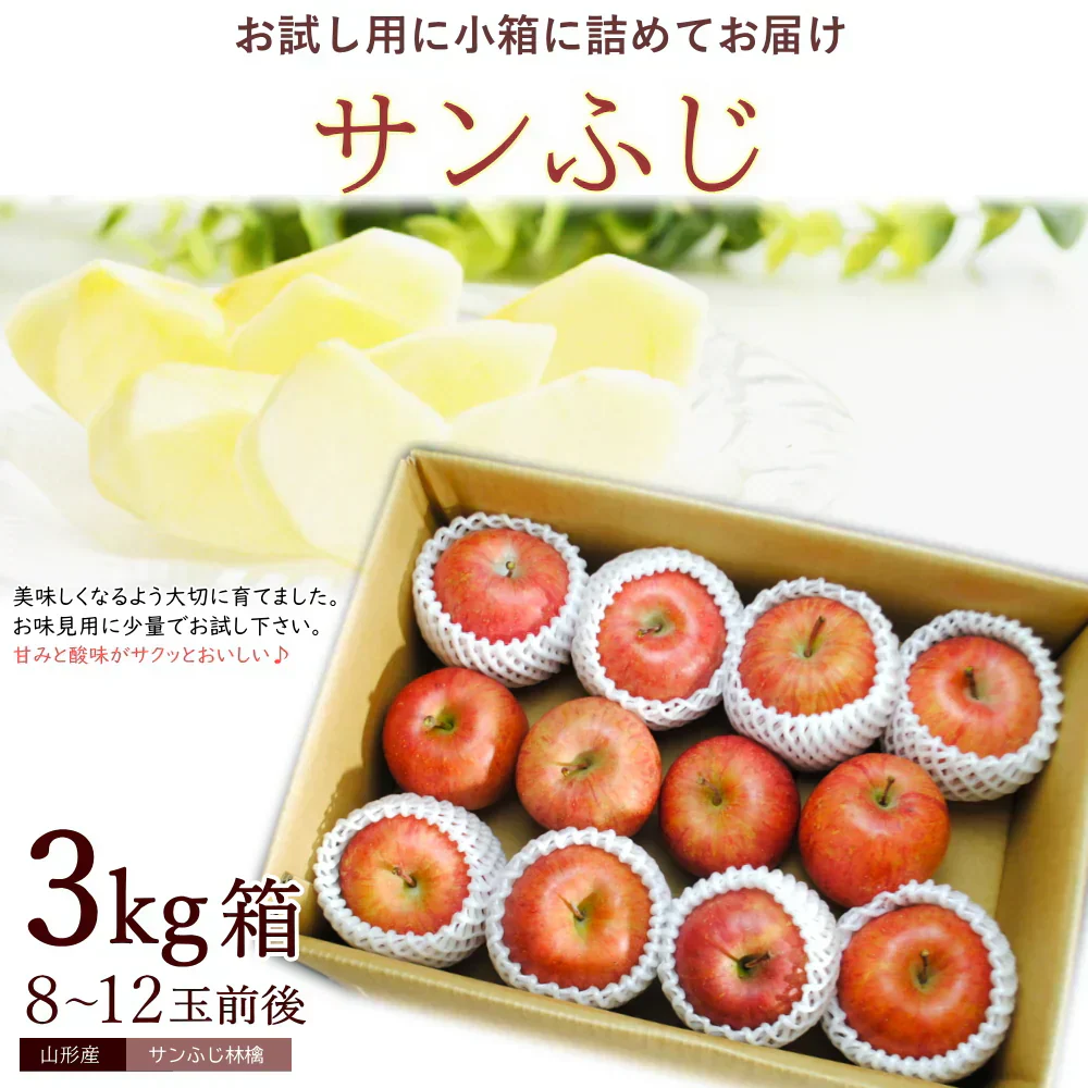 【12月上旬-下旬頃ご注文受付順次】サンふじりんご　約3kg箱　8-12玉前後 樹上完熟りんごを産地直送