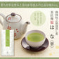 日本橋いなば園 静岡県産 上級深蒸し茶 はな 100g ネコポス メール便送料無料