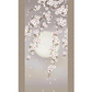 掛軸　「夜桜」　緒方葉水　筆