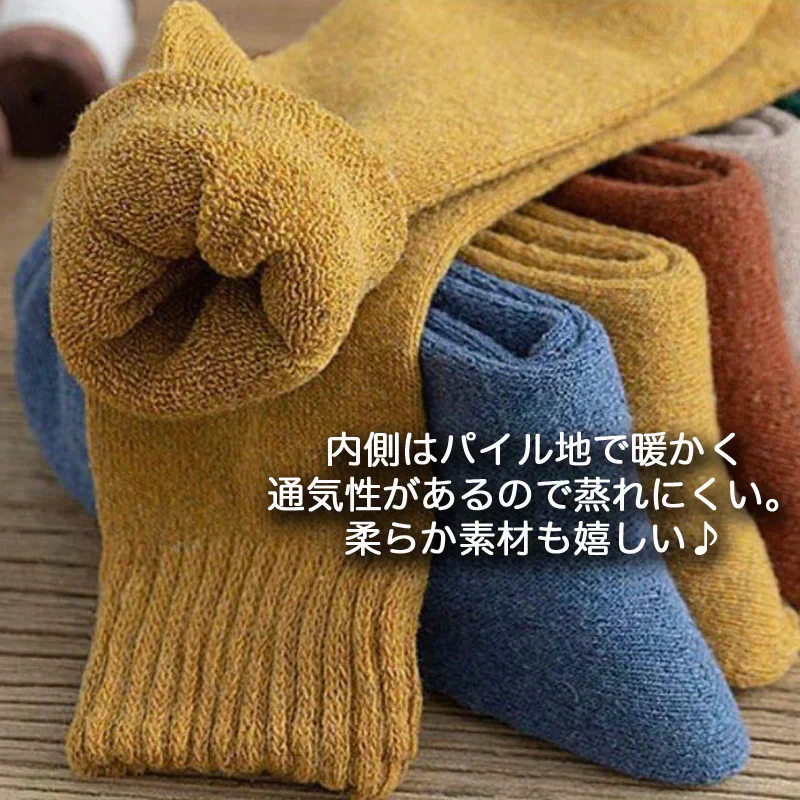 【ご予約商品 2025年3月上旬入荷分】レディースソックス 裏起毛 厚手 5足セット  防寒 暖かい靴下 無地  女性用靴下 冷え性対策 保温 あったか厚手靴下