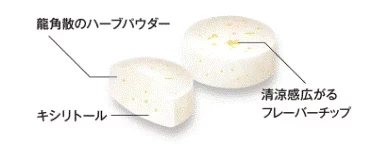 【残り僅か】【セット内容はおまかせです。期限切れで届きます】龍角散のどすっきりタブレット ハニーレモン味 抹茶ハーブ味 アソート 10個セット 全国送料無料 ポスト投函