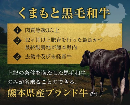 【新商品★お肉ガチャ】＼A4ランク黒毛和牛サーロインが当たるかも！？／ 黒毛和牛 A4ランク サーロイン リブ ハンバーグ クラシタ 肩ローススライス 福袋 《3-7営業日以内に発送予定(土日祝日を除く)》
