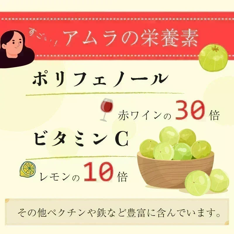 【ご注文殺到につき入荷待ち】 アムラパウダー 無添加 食用 オーガニック 100g 有機 JAS認証 粉末 アムラ 100% パウダー グーズベリー スリランカ ヘアケア 美髪 薄毛 美肌 栄養 健康 サプリメント