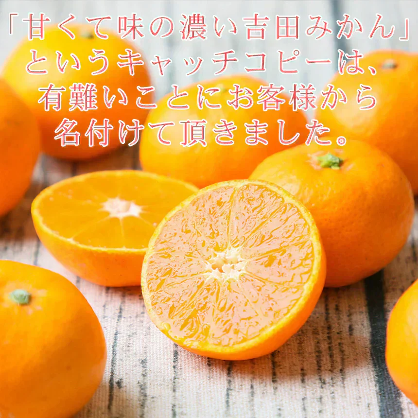 みかん　吉田みかん　５ｋｇ　ｆ吉０５　家庭用　M～2L　愛媛　吉田　果物　フルーツ　柑橘　ミカン　蜜柑　　訳あり　送料無料