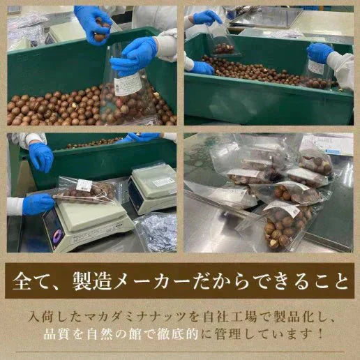 殻付きマカダミアナッツ 300g 送料無料