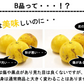 土佐文旦 訳あり 4kg 送料無料 ご家庭用 箱買い サイズミックス みかん 柑橘 フルーツ 果物 産地直送 愛媛県産 YDF-008