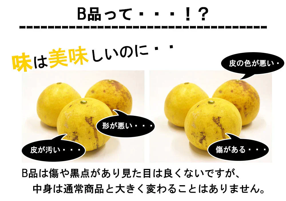 土佐文旦 訳あり 4kg 送料無料 ご家庭用 箱買い サイズミックス みかん 柑橘 フルーツ 果物 産地直送 愛媛県産 YDF-008
