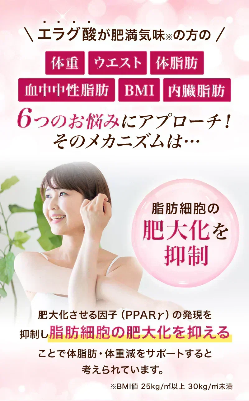 【最短当日出荷】機能性表示食品 プーアール茶 ヘルシーボ 30個入 ( 肥満気味の方 体重 ウエスト 体脂肪 血中中性脂肪 BMI 内臓脂肪 サポート エラグ酸 ザクロ エキス ダイエット サポート ダイエット茶 健康茶 ティーバッグ ティーライフ )