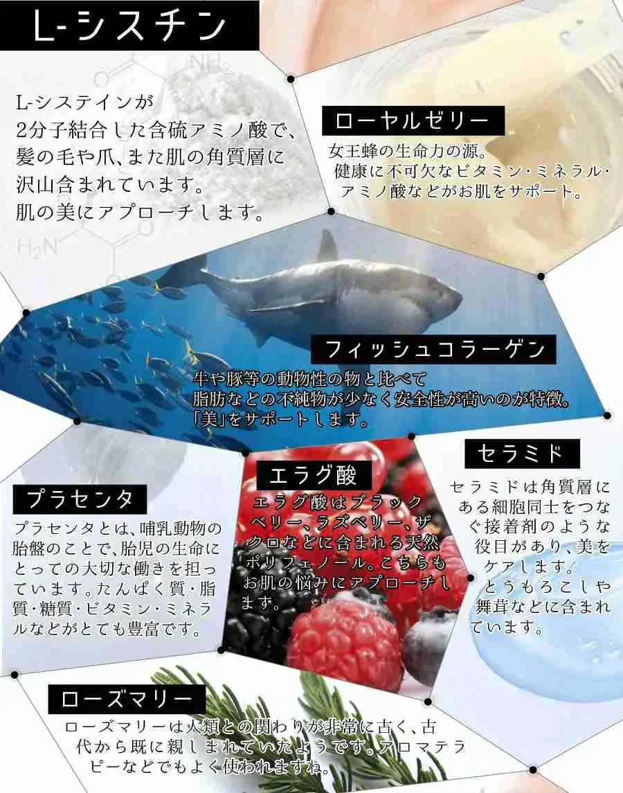 【大容量★約6ヶ月分】healthylife メラノコントロール 360粒 L-シスチン 黒ずみ くすみ メラニン ハリ たるみ 内側からケア 日焼け対策 潤い 明るい素肌 L-システイン ローヤルゼリー フィッシュコラーゲン プラセンタ ザクロエキス 黒ごま セラミド ローズマリー 紫外線 日焼け メラニン メラノサイト ターンオーバー 大容量 日焼け対策 日本製 国産 健康サプリ 健康食品 「福袋」