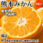 【10月上旬～中旬頃より順次出荷】みかん 5kg 送料無料 訳あり 箱込（内容量4kg＋補償分500g) 無選別 熊本みかん 極早生みかん 早生みかん 温州みかん蜜柑 ミカン