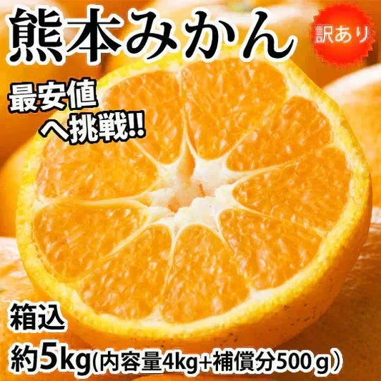 【10月上旬～中旬頃より順次出荷】みかん 5kg 送料無料 訳あり 箱込（内容量4kg＋補償分500g) 無選別 熊本みかん 極早生みかん 早生みかん 温州みかん蜜柑 ミカン