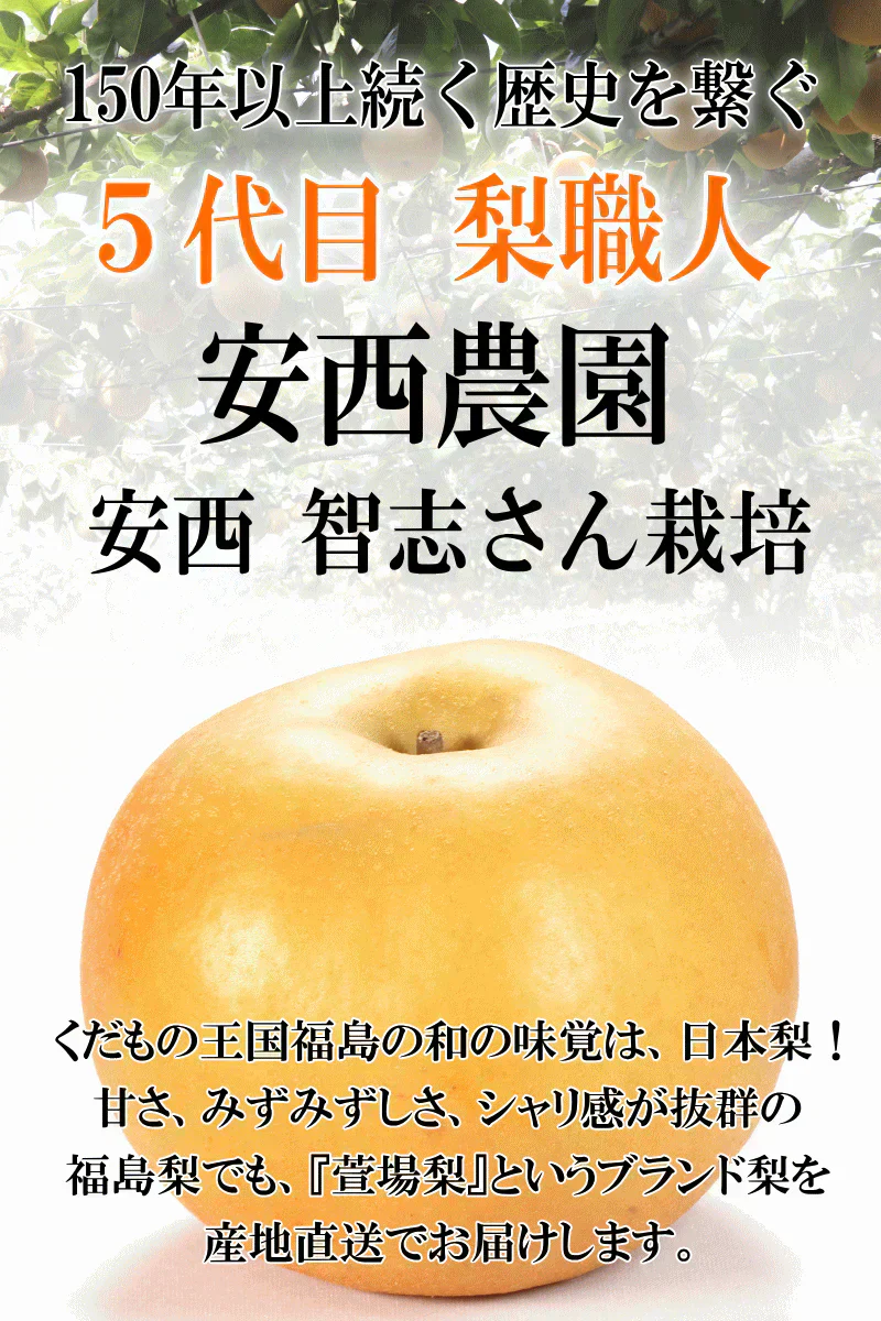 福島県産 梨 なし 2kg箱 ★秀品★品種おまかせ