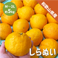 和歌山県産 しらぬい 約5kg 和歌山 不知火 ギフト 自宅用 贈答 柑橘