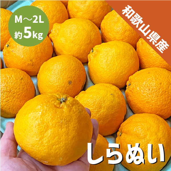 和歌山県産 しらぬい 約5kg 和歌山 不知火 ギフト 自宅用 贈答 柑橘