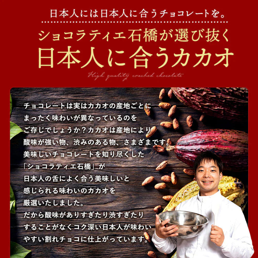 【ザッハトルテ】割れチョコ 200g×2個セット