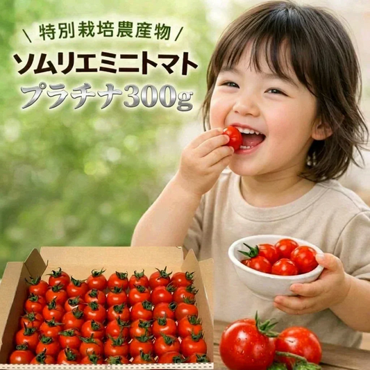 即日発送【特別栽培農産物】ソムリエミニトマト　プラチナ　３００ｇ（補償100g込み）※補償分以上の不良は交換対応可能【カウシェファーム収穫対象商品】