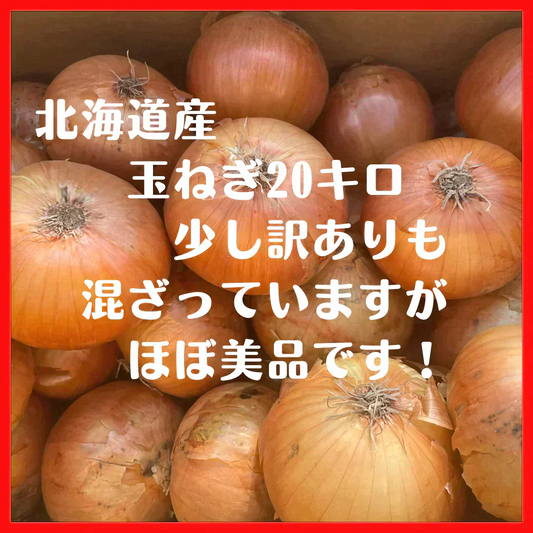 玉ねぎ　北海道産　20キロ 　Lサイズ
