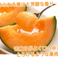 メロン 訳あり 小玉 赤肉メロン 送料無料 2玉 お取り寄せ 熊本県産 クインシーメロン フルーツ