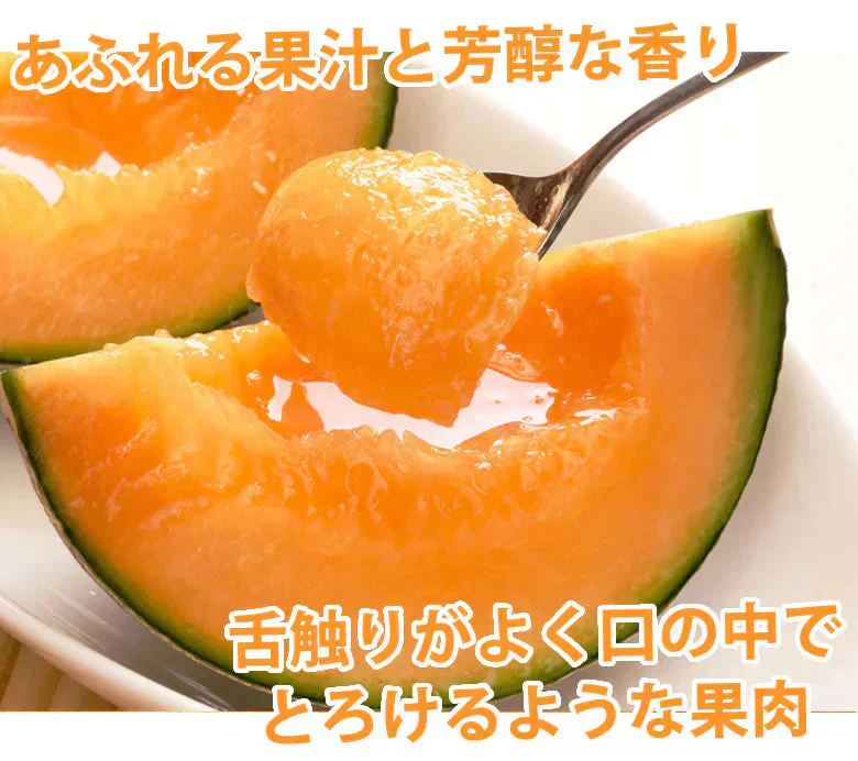 メロン 訳あり 小玉 赤肉メロン 送料無料 2玉 お取り寄せ 熊本県産 クインシーメロン フルーツ
