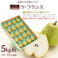 【11月中旬-12月下旬頃ご注文受付順次】洋梨　ラフランス　約5kg（10-20玉前後）産地箱詰め　山形県産　西洋梨　なし　ようなし