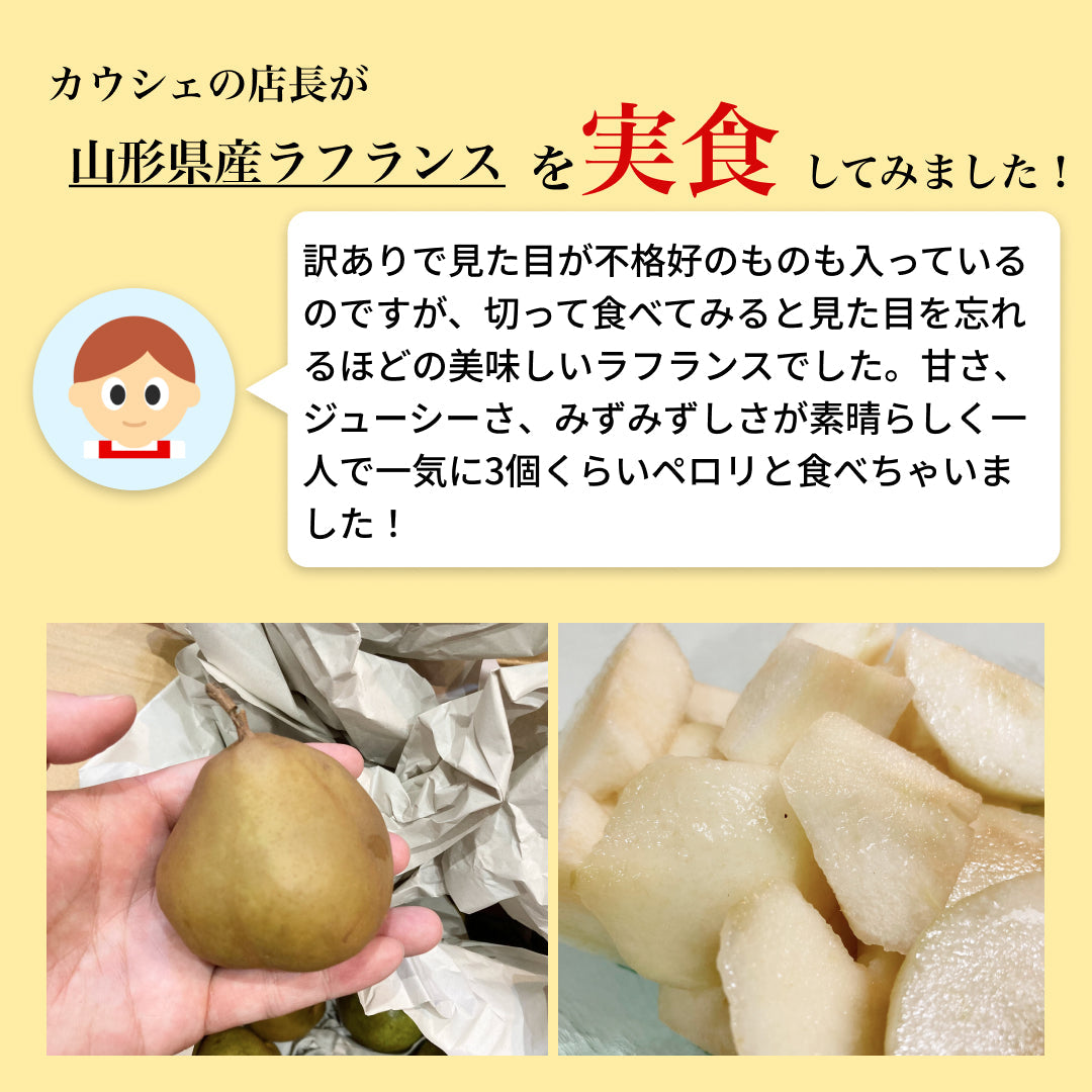 レスキューラフランス 訳あり 規格外 5kg 洋梨 山形県産 家庭用  果物 フルーツフードロス削減・食品ロス削減