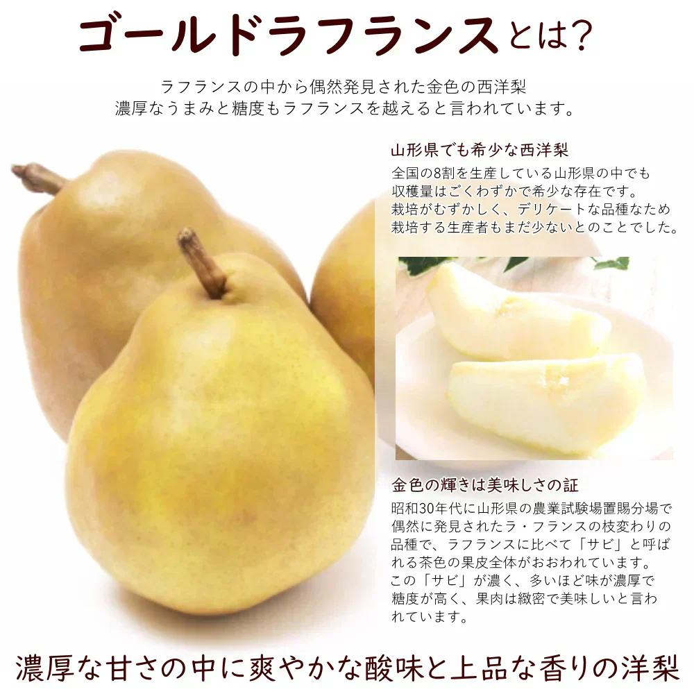 【11月下旬-12月下旬頃ご注文受付順次】洋梨　ゴールドラフランス　約2kg（5-8玉前後）化粧箱詰め　ギフト　山形県産　西洋梨　なし　ようなし　金色