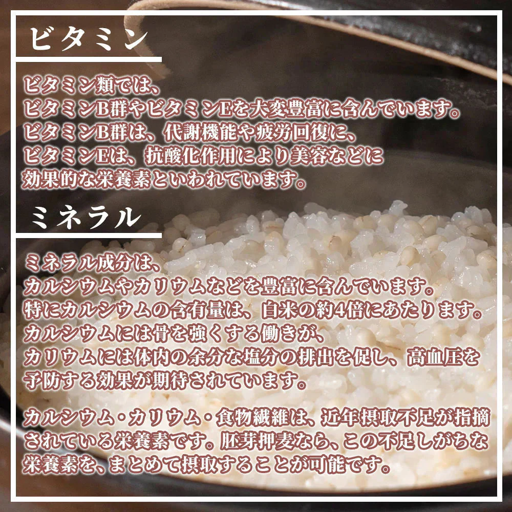 雑穀 雑穀米 国産 丸麦 4kg(400g×10袋) 徳用サイズ 無添加 無着色 送料無料