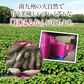 紅はるか さつまいも 5kg 産地直送 産直 土付き さつま芋 薩摩芋 焼きいも 焼き芋 石焼き芋 芋 いも イモ 南九州産  FJK-000