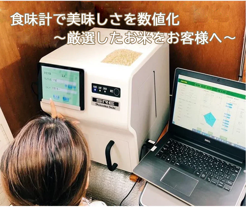 米 2kg 雪若丸 精米 山形県産 送料無料 令和6年産 ギフト 単一原料米 ブランド米 こめ コメ 白米 産地直送 kkb-004