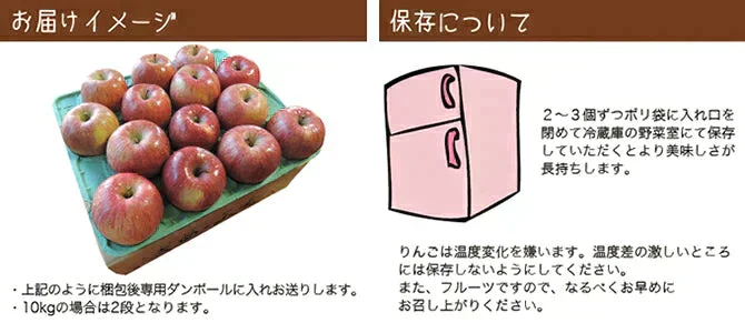 青森県産 訳あり 葉とらず ふじ りんご 約15kg※11月下旬よりご予約順に発送【指定日不可】