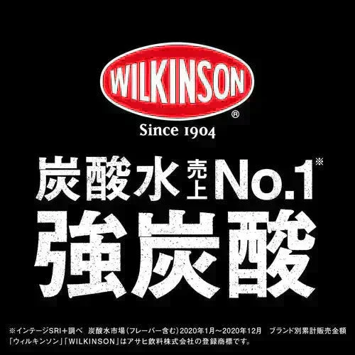 【期間限定特価】【1ケース】  ウィルキンソン 炭酸水 タンサン 500ml PET 24本