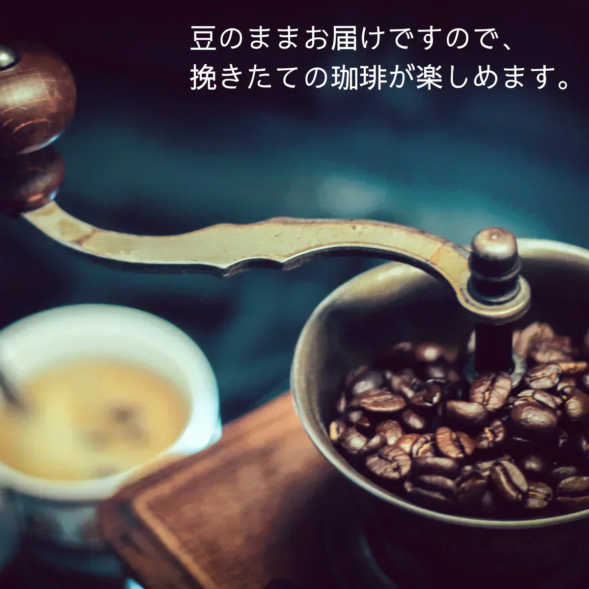 【お届けまで約1ヶ月】コーヒー豆（焙煎）40g 珈琲 ラオス産 豆のまま【カウシェファーム収穫対象商品】