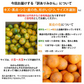 【10月上旬～中旬頃より順次出荷】みかん 5kg 送料無料 訳あり 箱込（内容量4kg＋補償分500g) 無選別 熊本みかん 極早生みかん 早生みかん 温州みかん蜜柑 ミカン