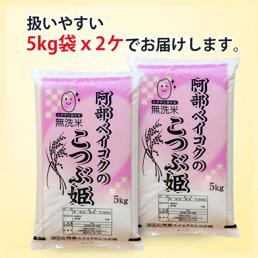 無洗米 10kg (5kg×2袋) こつぶ姫 国内産 送料無料 無洗米10キロ こめ コメ お米 精米 新米 お米10kg お米10キロ
