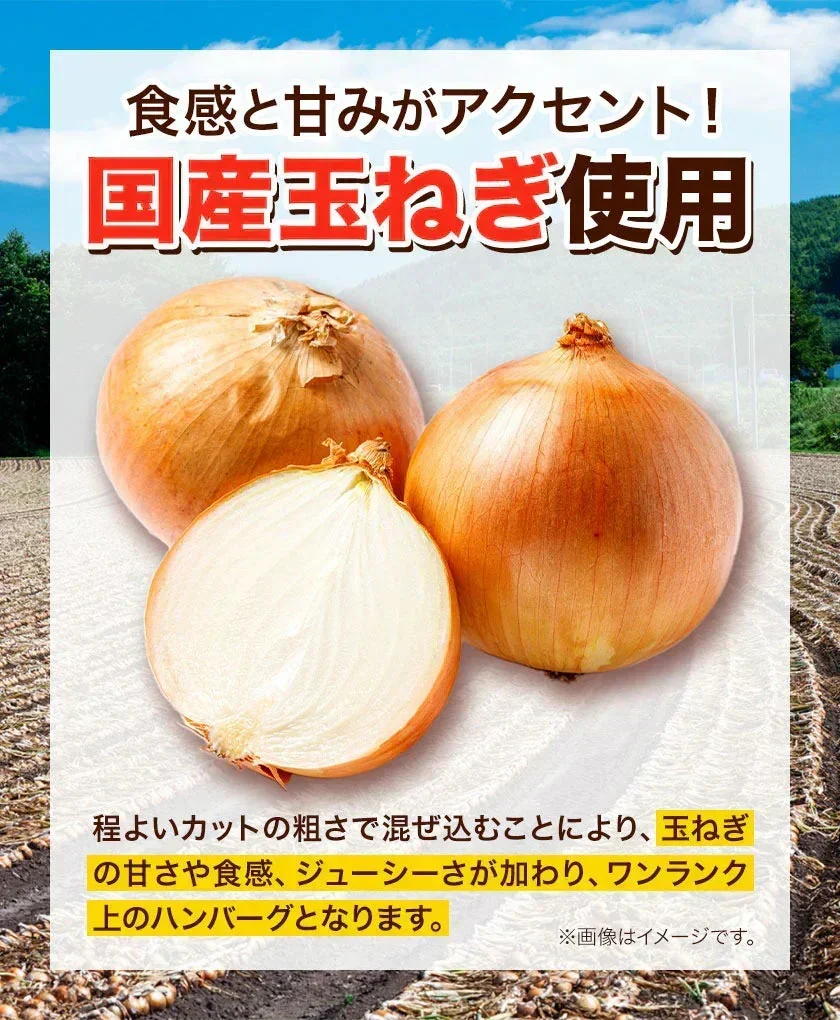大容量 ハンバーグ 1.5kg (150g × 10個) 国産 熊本県 あか牛 九州産 卵 デミグラスソース 冷凍 レトルト お湯 湯煎 するだけ 温めるだけ お弁当 にも使えて便利《7-14営業日以内に出荷予定(土日祝日除く)》