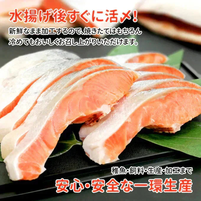 国産塩銀鮭 2kg20切（10切×2）送料無料